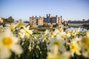 From Brighton: Leeds Castle & Canterbury Full-Day Trip