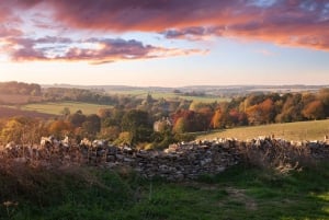 Z Londynu: Cotswolds, pałac Blenheim i Downton Abbey