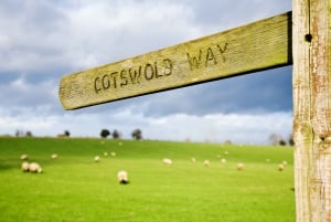 From London: Shakespeare’s Stratford and Cotswolds Tour