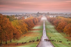 Z Londynu: Stonehenge, Windsor i Salisbury - wycieczka z przewodnikiem