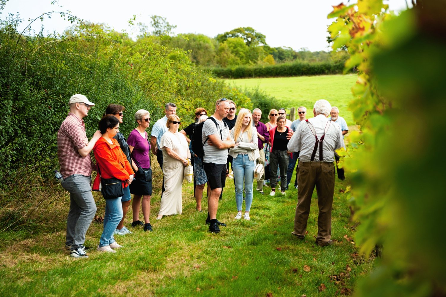 Fra London: Vintur med vintagebuss og togbilletter tur-retur