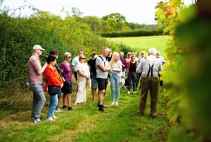 Fra London: Vintur med vintagebuss og togbilletter tur-retur