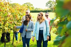 Fra London: Vintur med vintagebuss og togbilletter tur-retur