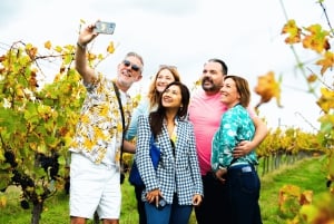 Fra London: Vintur med vintagebuss og togbilletter tur-retur