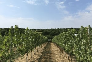 Fra London: Vintur med vintagebuss og togbilletter tur-retur