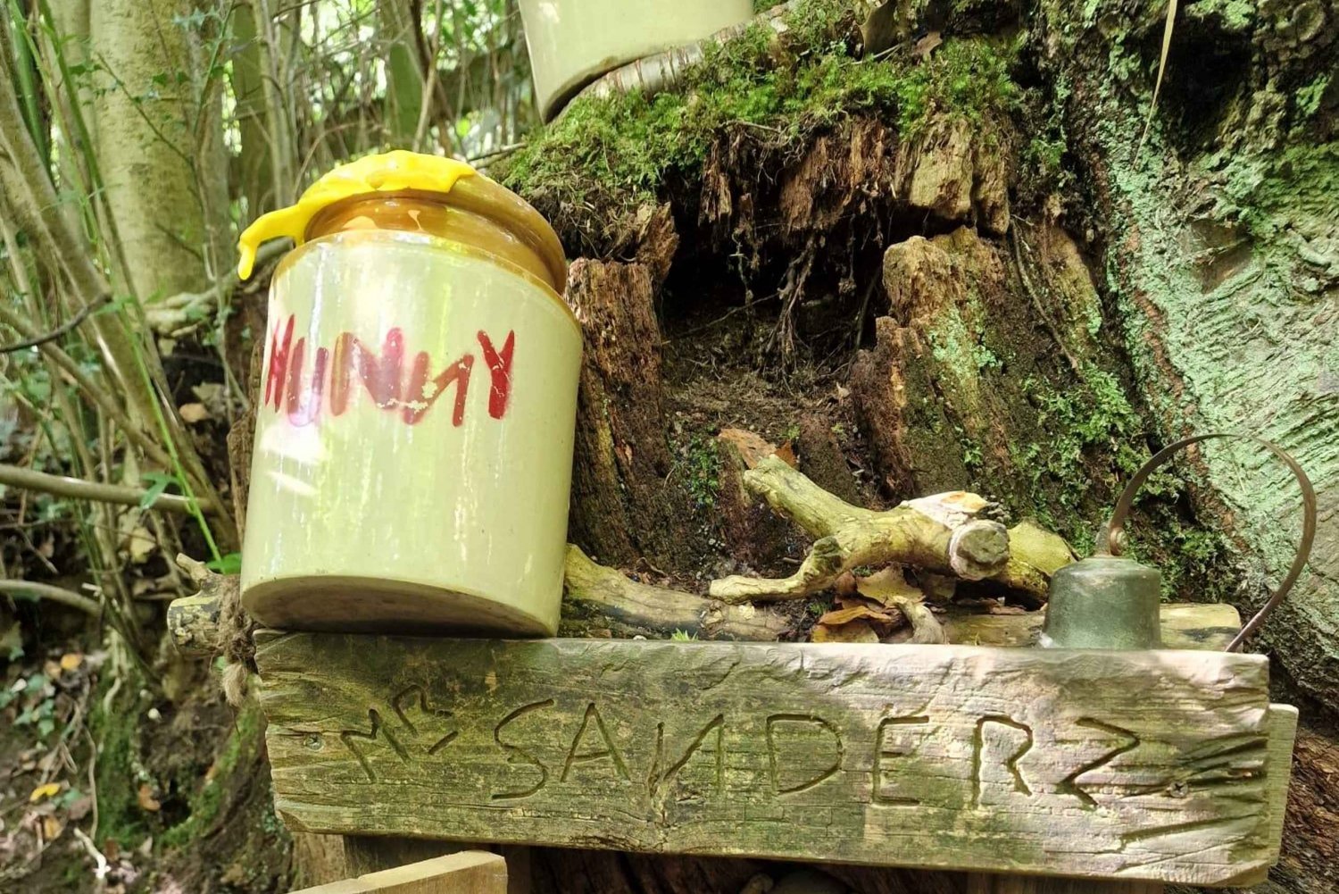 Au départ de Londres : Excursion d'une journée au bois des cent acres de Winnie l'ourson