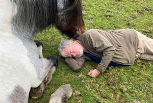 Henfield: Equine Meditation Near London and Brighton