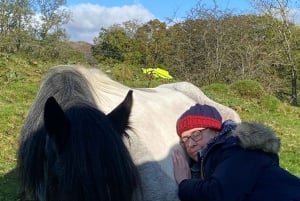 Henfield: Equine Meditation Near London and Brighton