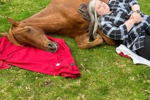 Henfield: Equine Meditation Near London and Brighton