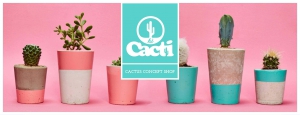 Hi Cacti