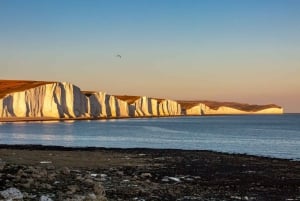 Londres: Excursão particular de um dia a Brighton e Seven Sisters Cliffs