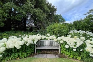 London: Downton Abbey Tour with Highclere, Bampton & Oxford