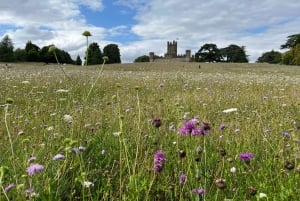 London: Downton Abbey Tour with Highclere, Bampton & Oxford