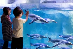 London: Madame Tussauds, London Eye & SEA LIFE Combo Ticket