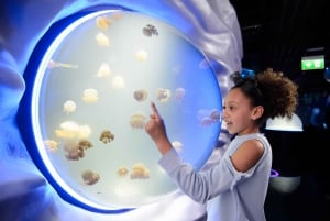 London: Madame Tussauds, London Eye & SEA LIFE Combo Ticket