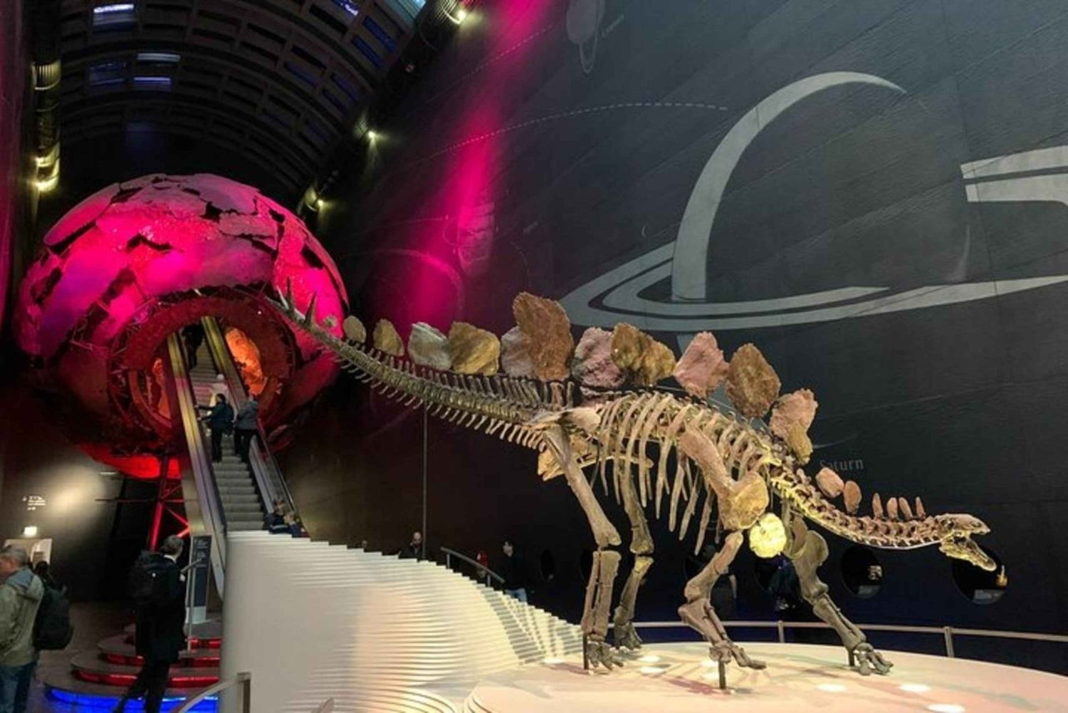 Lontoo: Luonnonhistoriallinen museo Yksityinen kierros & ohita jono