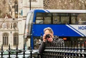 London: Parliament & Palaces private walking tour with guide