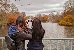 London: Parliament & Palaces private walking tour with guide