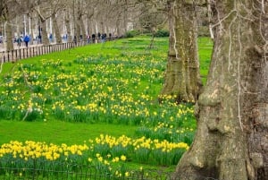 London: Parliament & Palaces private walking tour with guide