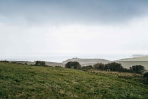 London: Embark on a Guided Tour of South Downs White Cliffs