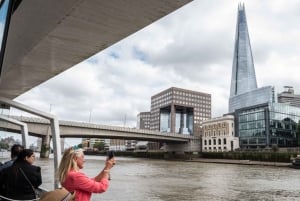 London: Westminster Tour, River Cruise, and Tower of London