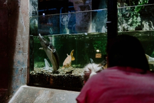Sea Life Brighton Admission Ticket