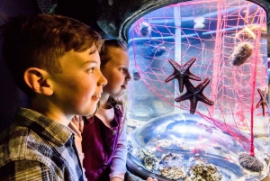 Sea Life Brighton Admission Ticket