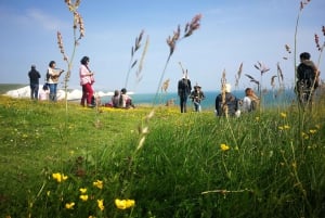 Seven Sisters & Brighton Day Trip: Guided Tour from London