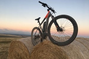 South Downs or Coastline E-Bike Tour