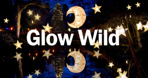 Glow Wild 2019