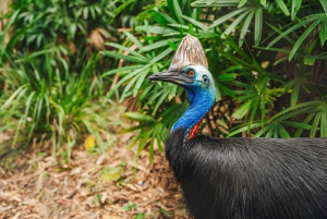 14-Day Sydney to Cairns, Fraser, Whitsundays Comfort Tour