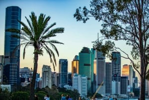 Brisbane: Private Sunset Jetski Tour on the Brisbane River