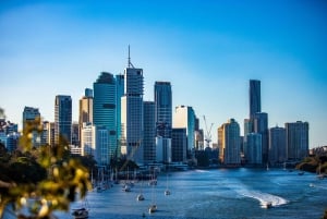 Brisbane: Private Sunset Jetski Tour on the Brisbane River