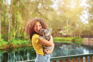 Dreamworld, WhiteWater World & SkyPoint 3-Day Ticket