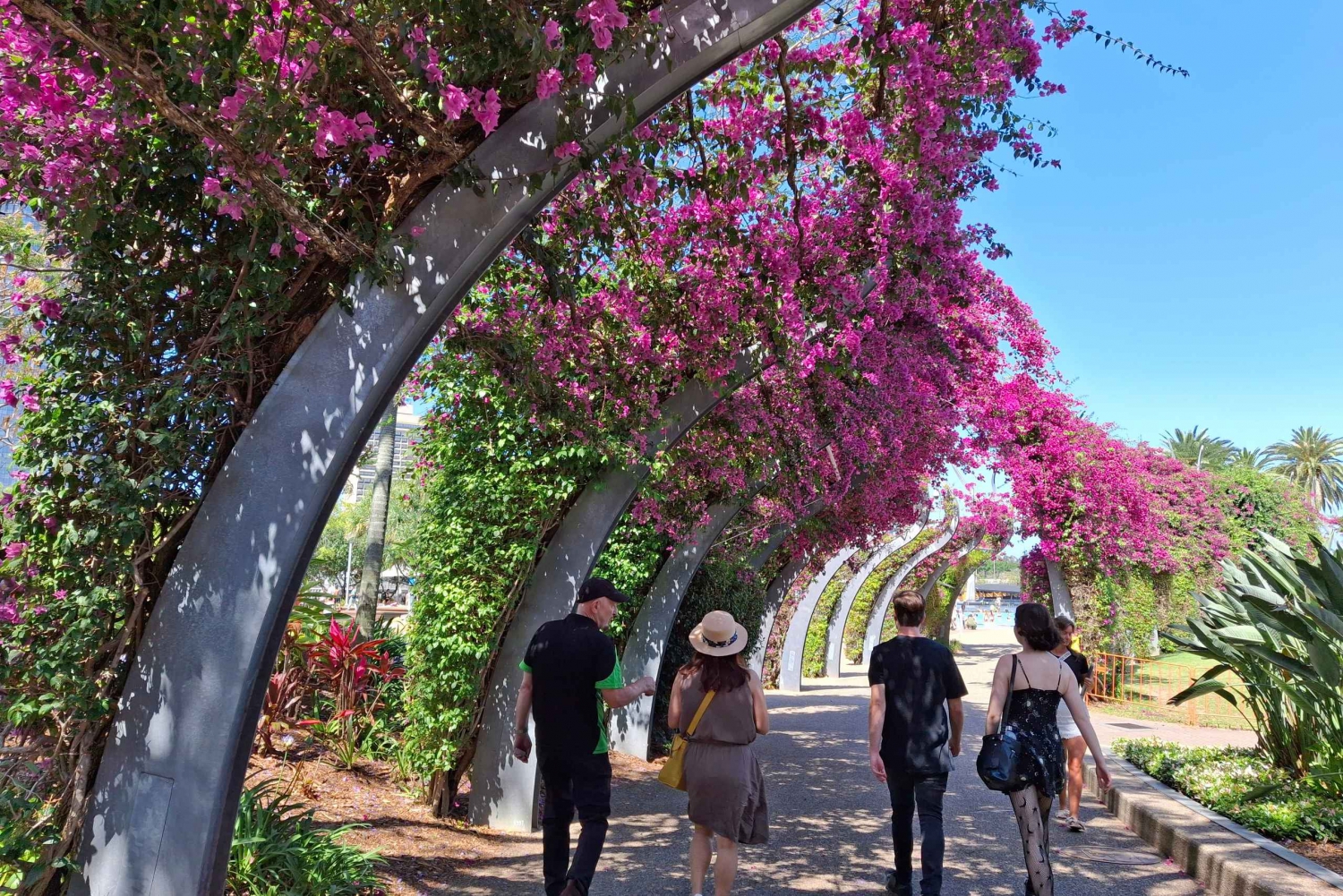 6 Hour Welcome to Brisbane Private Sightseeing Private Tour