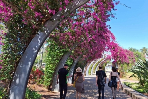 6 Hour Welcome to Brisbane Private Sightseeing Private Tour