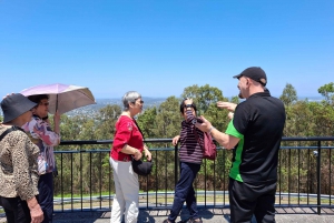 6 Hour Welcome to Brisbane Private Sightseeing Private Tour