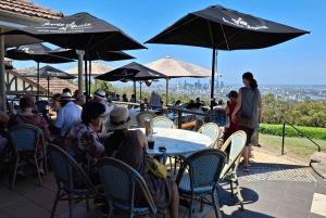 6 Hour Welcome to Brisbane Private Sightseeing Private Tour