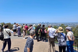 6 Hour Welcome to Brisbane Private Sightseeing Private Tour