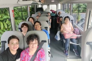 6 Hour Welcome to Brisbane Private Sightseeing Private Tour