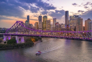 6 Hour Welcome to Brisbane Private Sightseeing Private Tour
