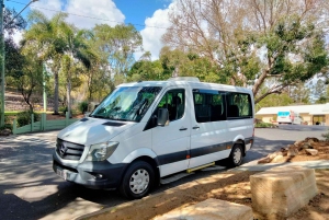 6 Hour Welcome to Brisbane Private Sightseeing Private Tour