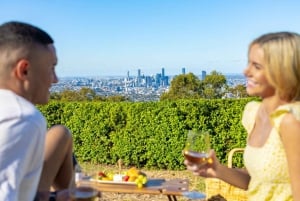6 Hours Brisbane Private Tour - Popular Sights in One Day