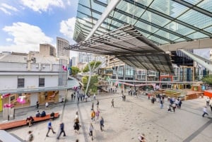 6 Hours Brisbane Private Tour - Popular Sights in One Day