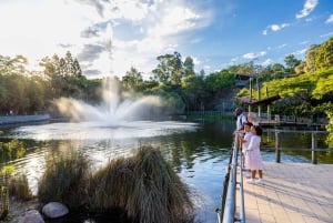 6 Hours Brisbane Private Tour - Popular Sights in One Day