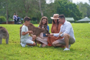 6 Hours Brisbane Private Tour - Popular Sights in One Day
