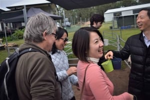 Alpaca Feeding with Wildlife & Nature Park VIP Private Tour