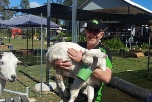 Alpaca Feeding with Wildlife & Nature Park VIP Private Tour