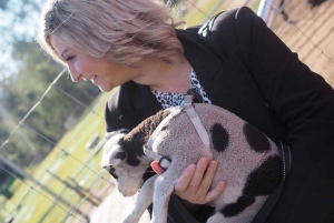 Alpaca Feeding with Wildlife Nature Park Visit Private Tour