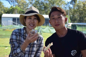 Alpaca Feeding with Wildlife Nature Park Visit Private Tour